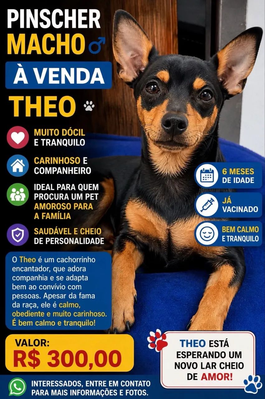 Vendo Pinscher  - Foto 3