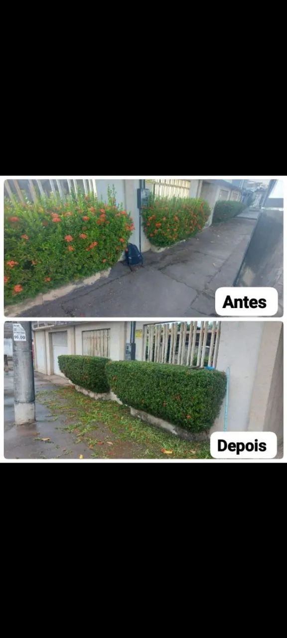 Jardineiro e paisagista  - Foto 4