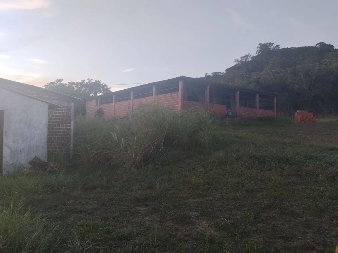 Vendo sítio Itaporanga d'ajuda  - Foto 5