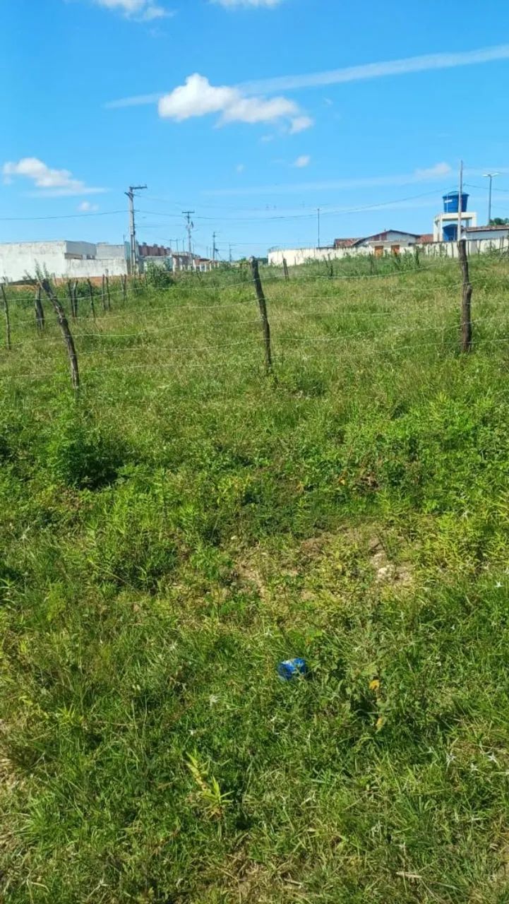 Terreno No Loteamento Vila Ney 