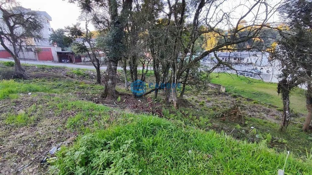 TERRENO DESVIO RIZZO COM 465m² - Foto 3