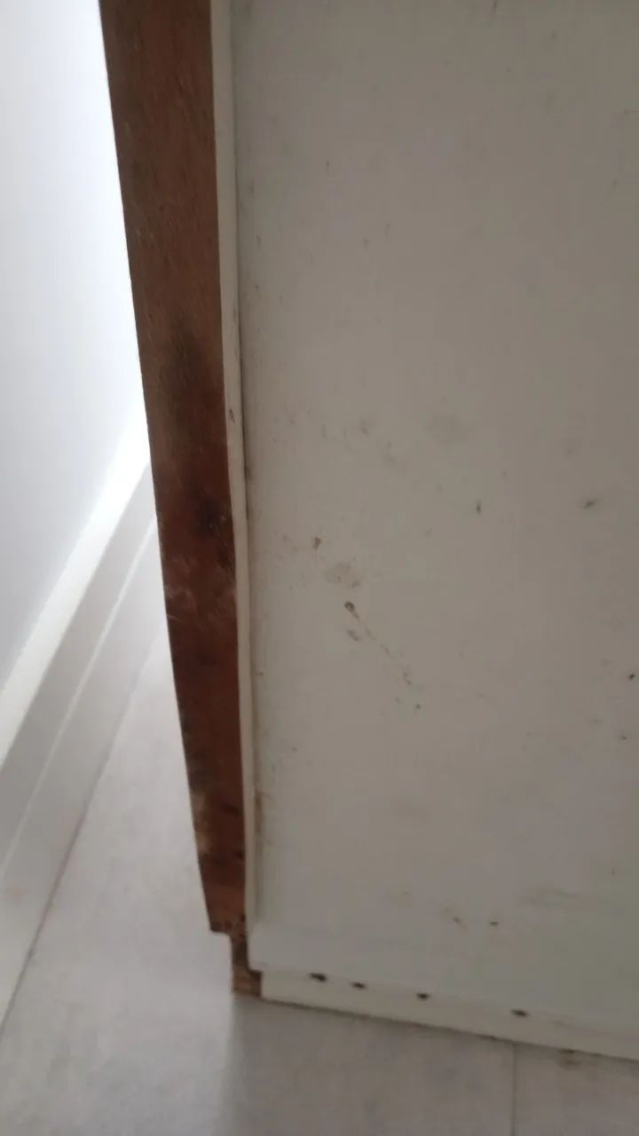 Restauração e Ajuste de Armários  - Foto 3