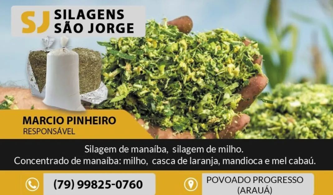 Venda de silagem 