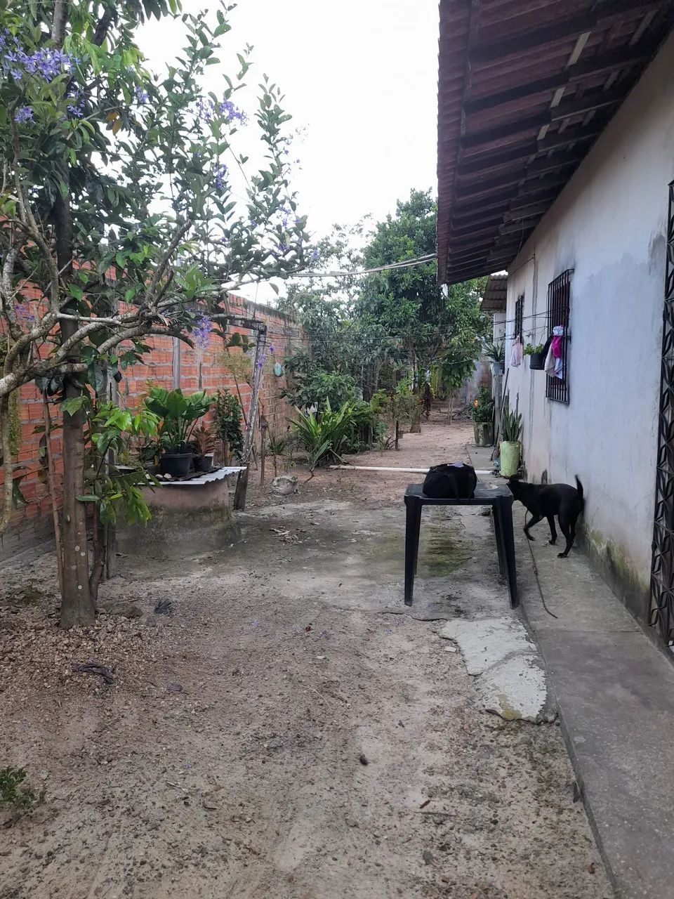 Venda de casa no icui - Foto 3