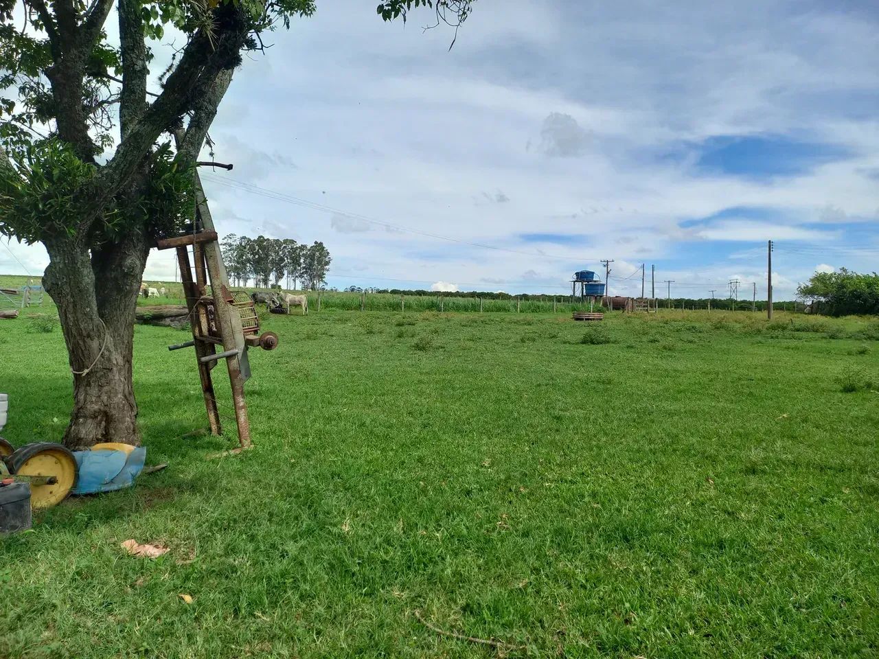 Imóvel para venda tem 363.000 m2, Piracicaba - SP - Foto 2