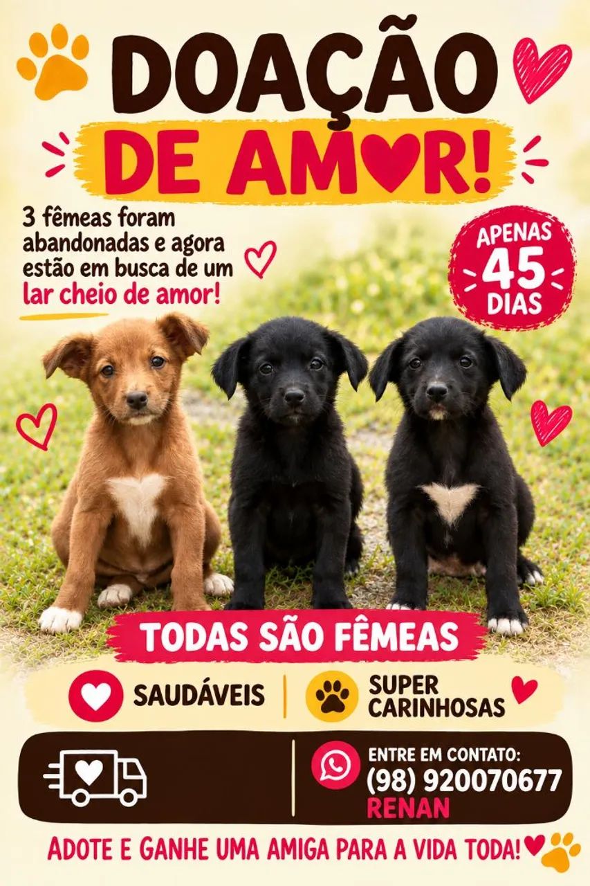 ? ADOÇÃO RESPONSÁVEL ?