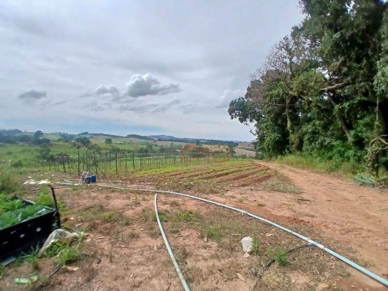 Sítio Rural / Dos Silva - Foto 3