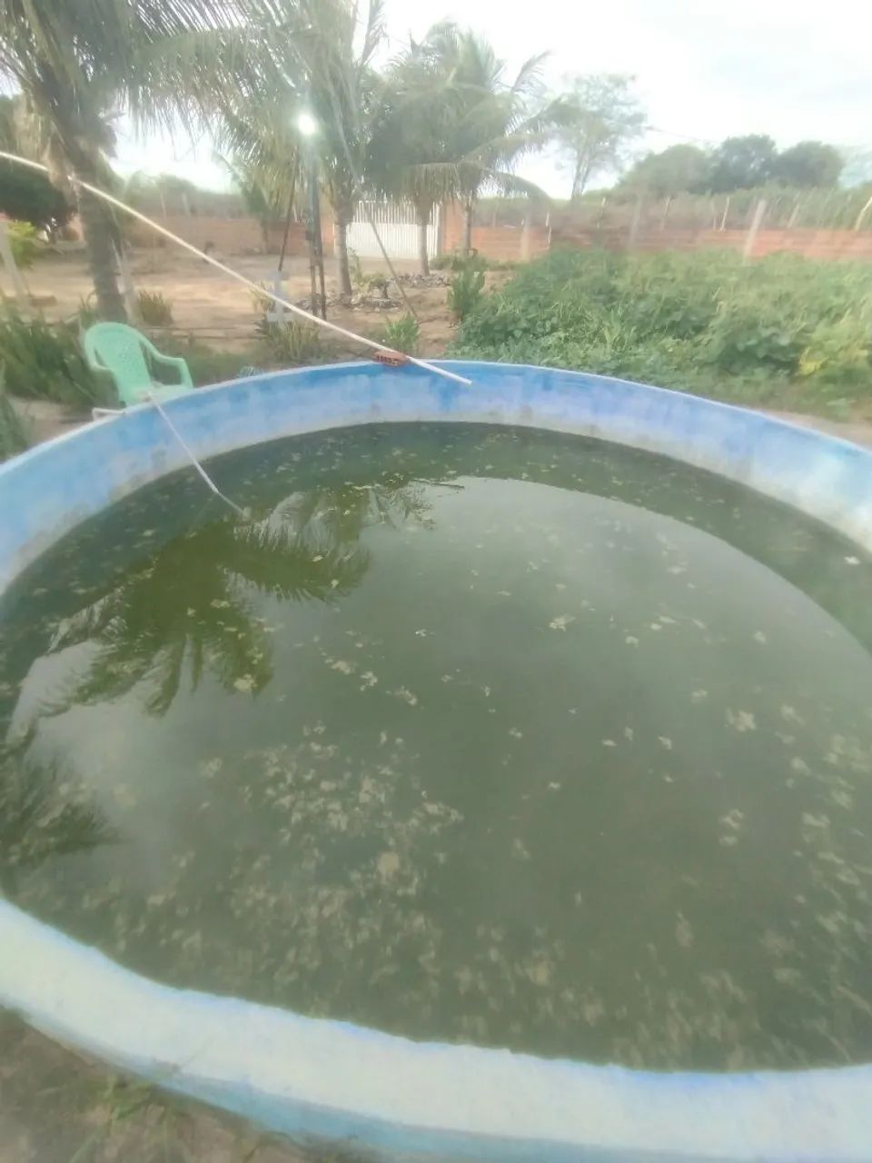 Sítio barro branco  - Foto 4