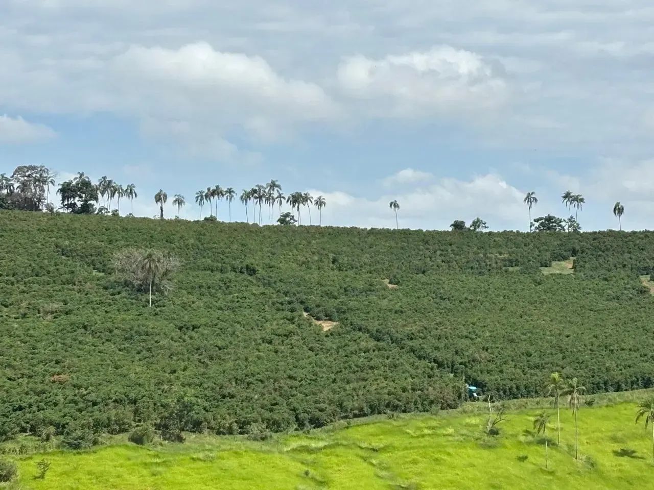 Fazenda Elói Mendes  MG