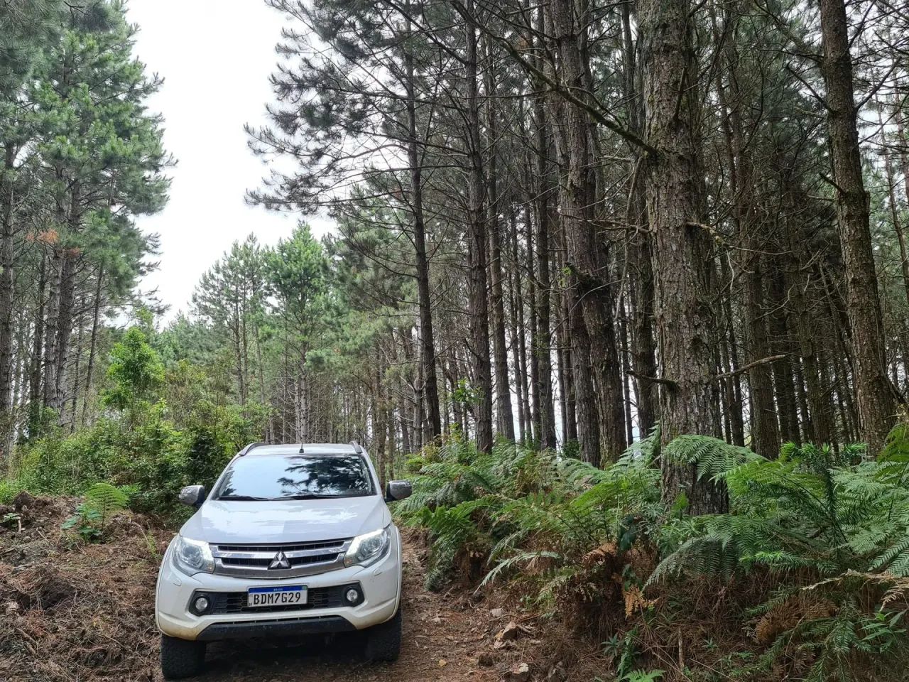 Fazenda em Bom Retiro -Serra Catarinense - Foto 5