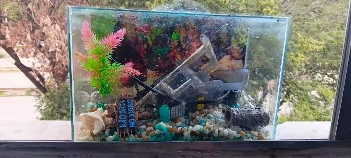 Aquario - Foto 4