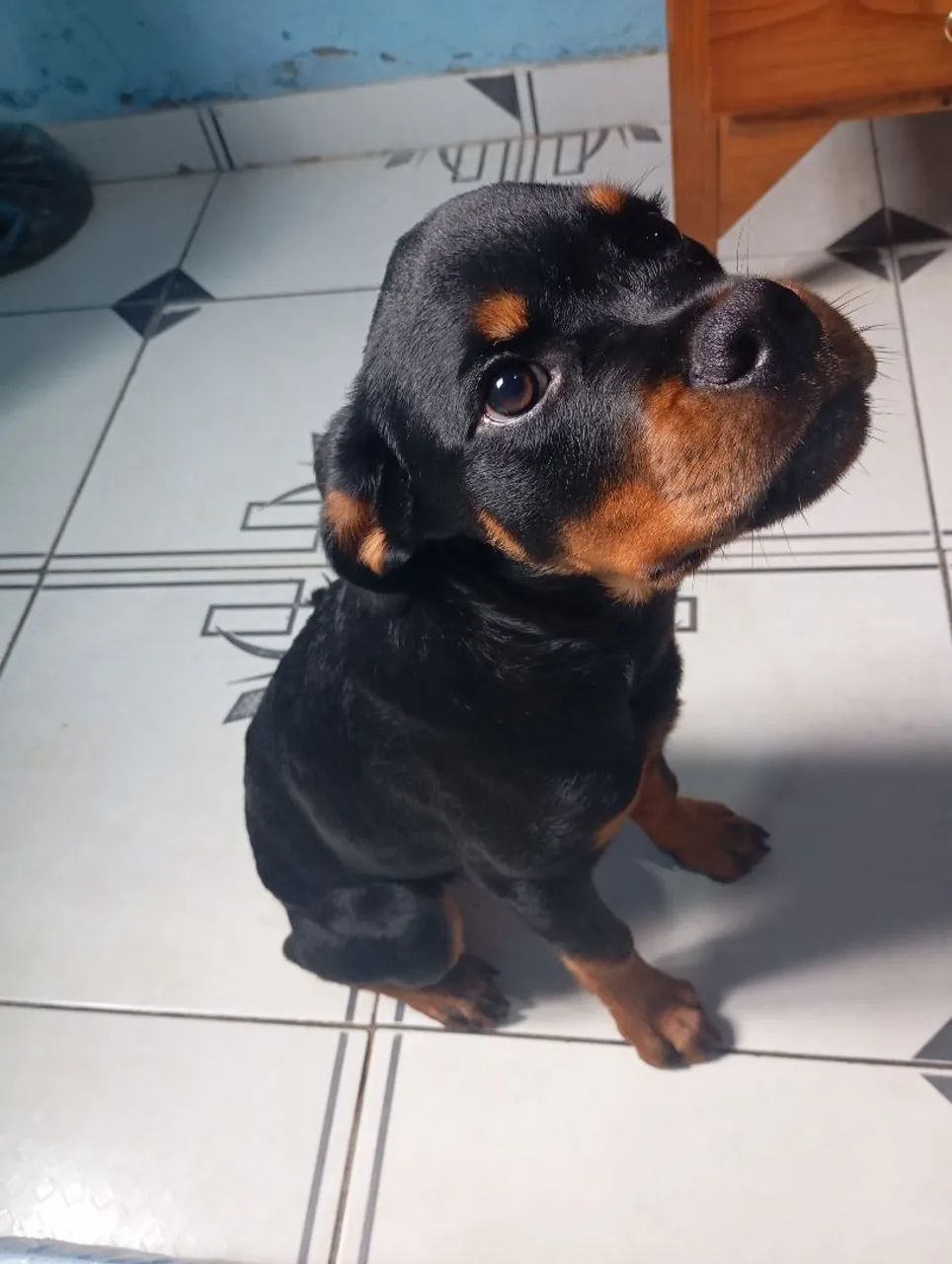 Tou vendo a esse preço por quê vou embora e tenho que vender ele rapidinho antes de ir. - Foto 2