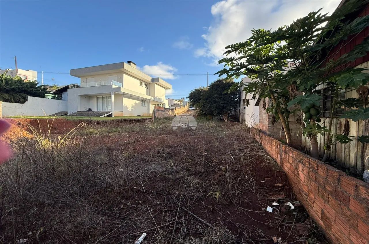 Vendas Terreno Pato Branco PR - Foto 5