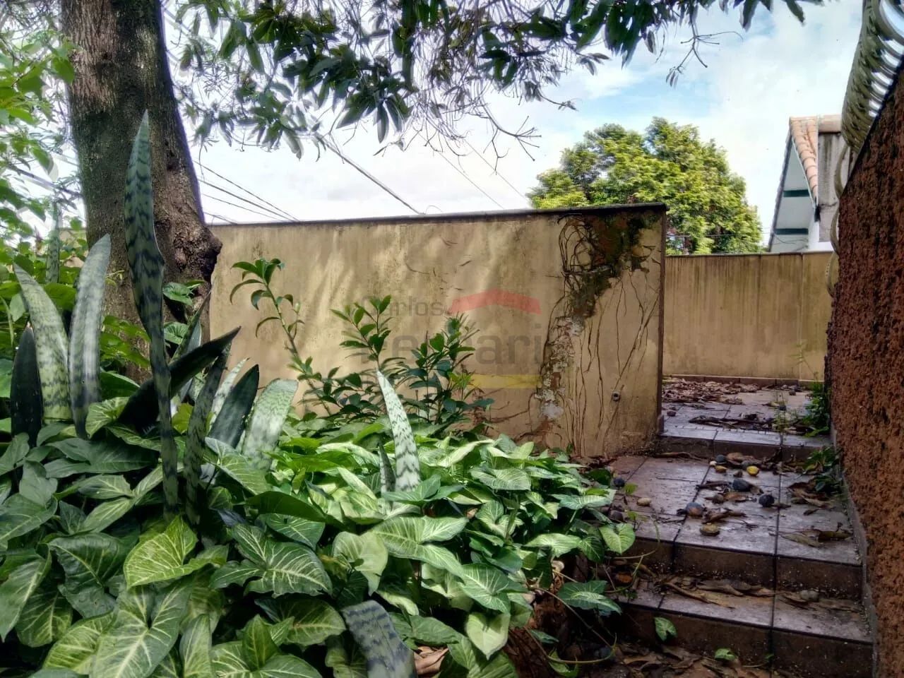 Excelente Terreno na Vila Mazzei com 830m² - Foto 3