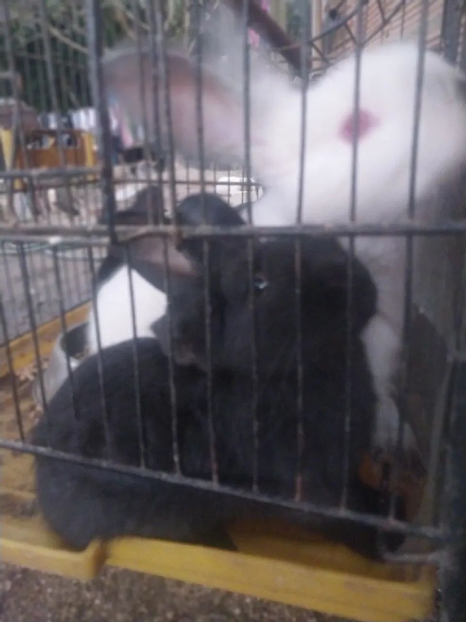 Vendo