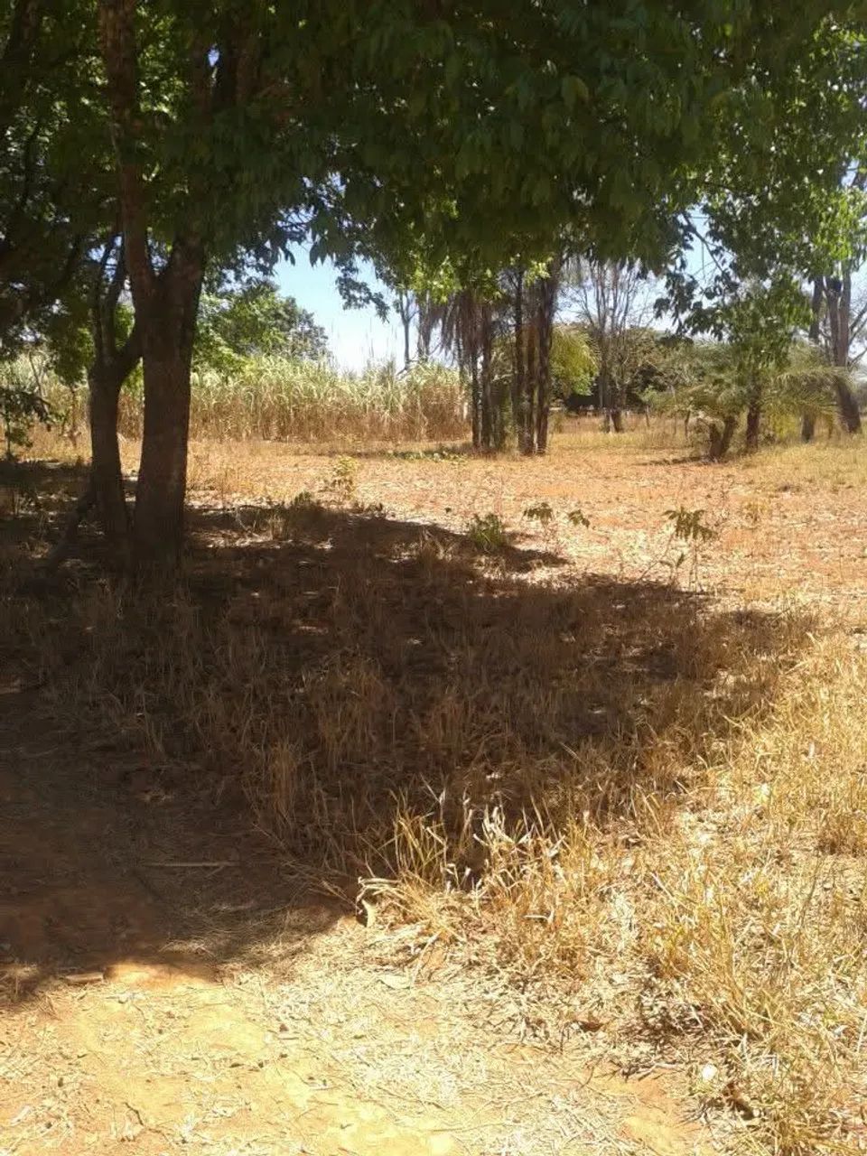 chacara - Foto 3