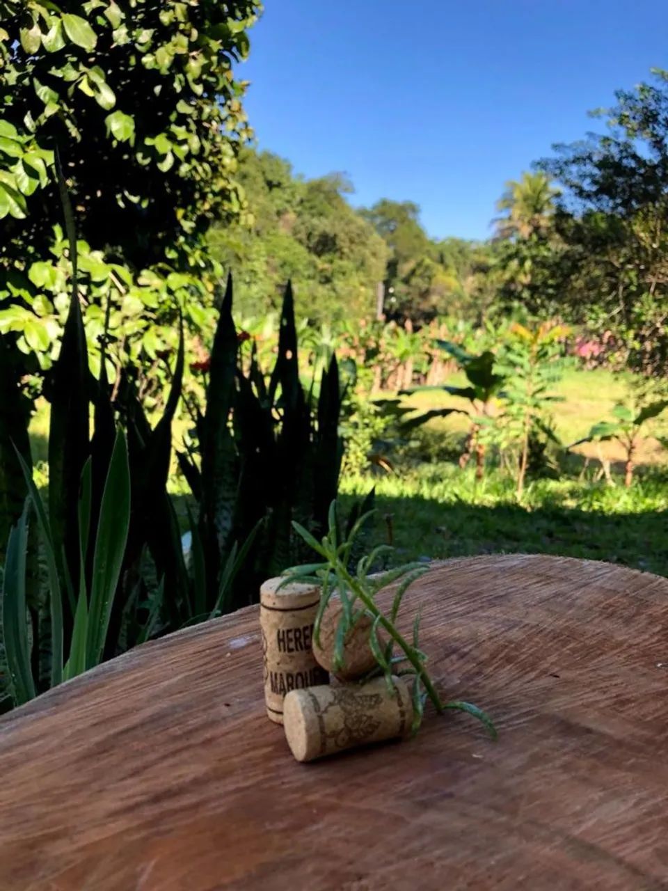 Sítios chácara - Foto 3