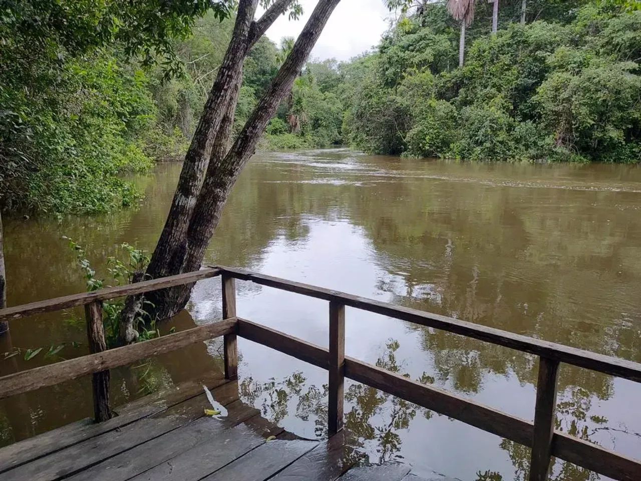 Sítio Rio Preto da Eva Ramal Baixo Rio - Foto 3