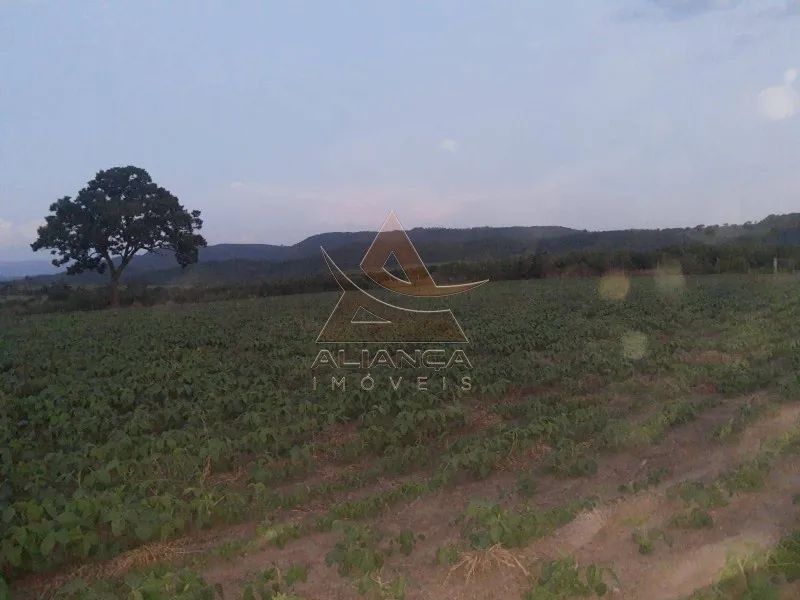 Sítio - Cássia - Zona Rural - Foto 4