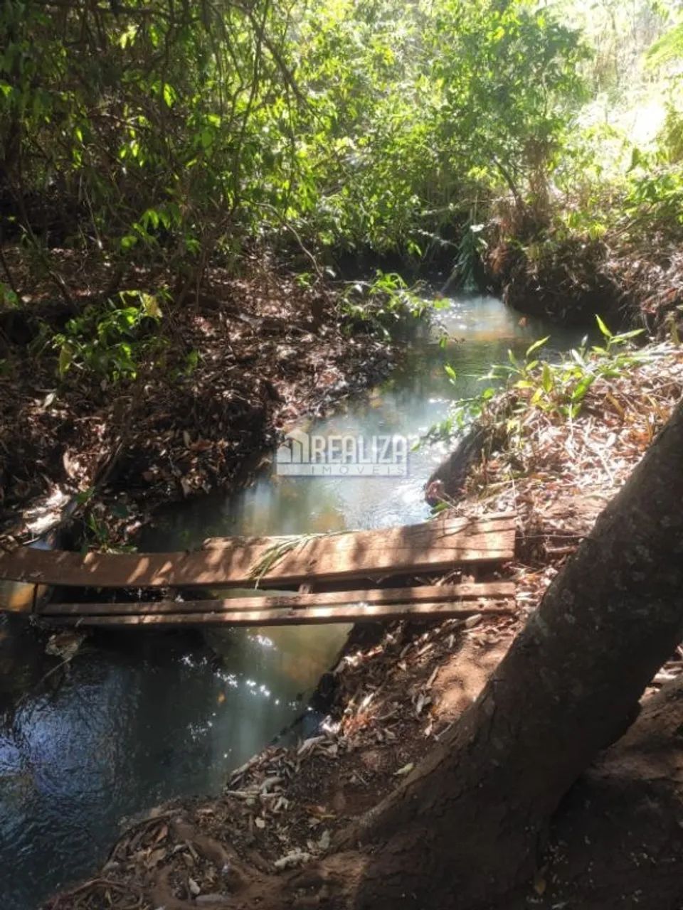 Chácara à venda próximo à Delta: seu refúgio rural na cidade - Foto 5
