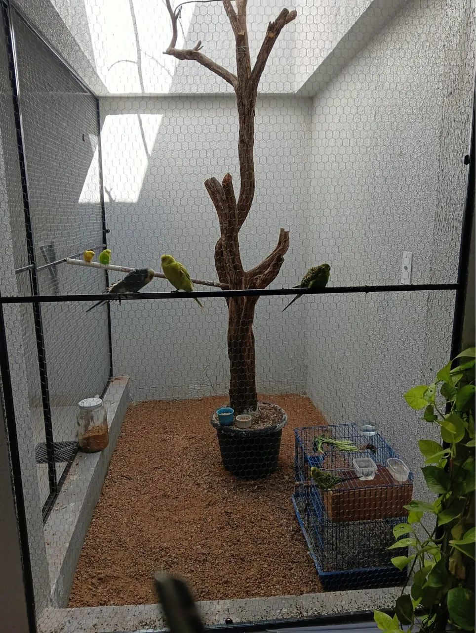 Casa na cidade jardim  - Foto 5