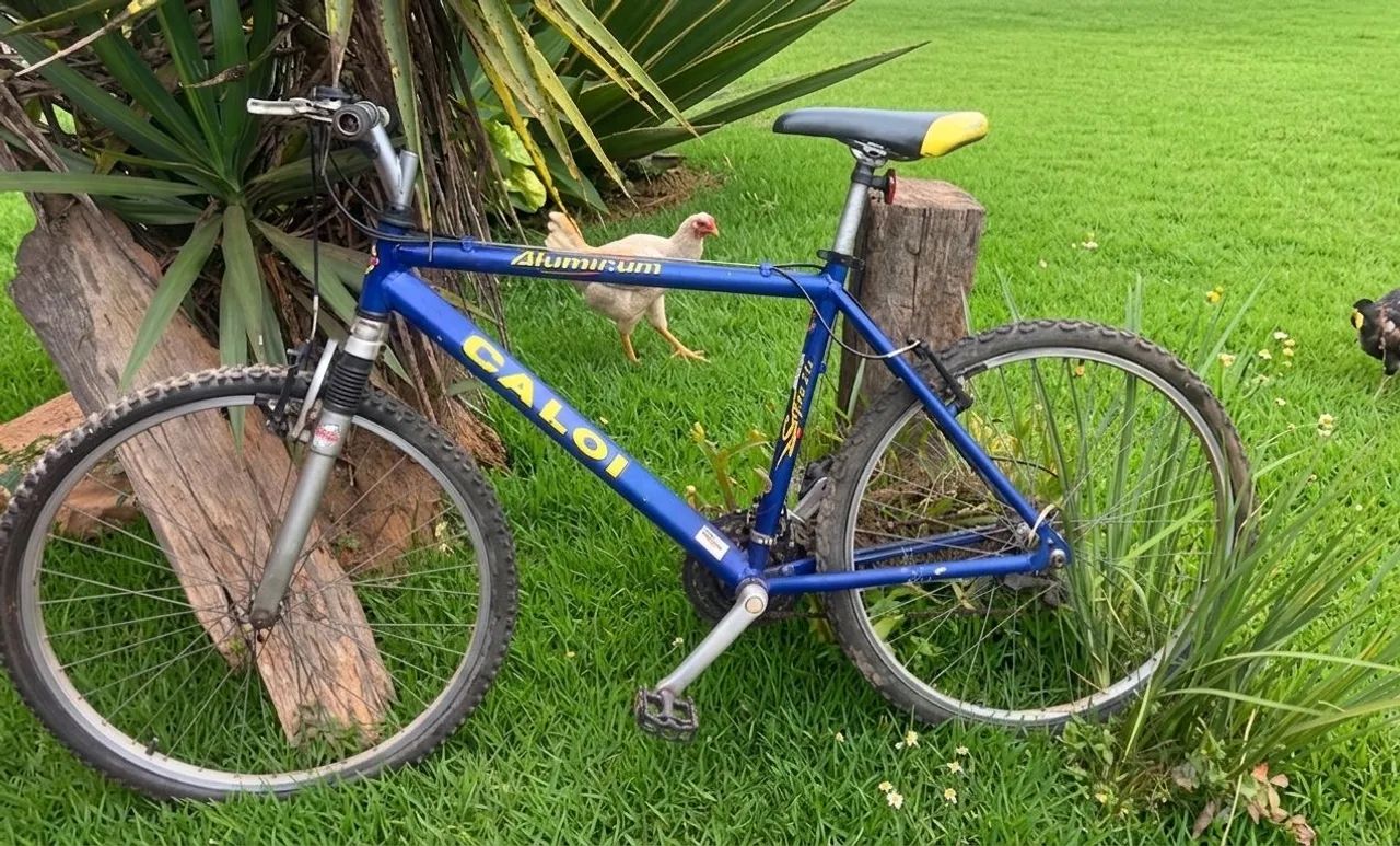 Bicicleta Caloi