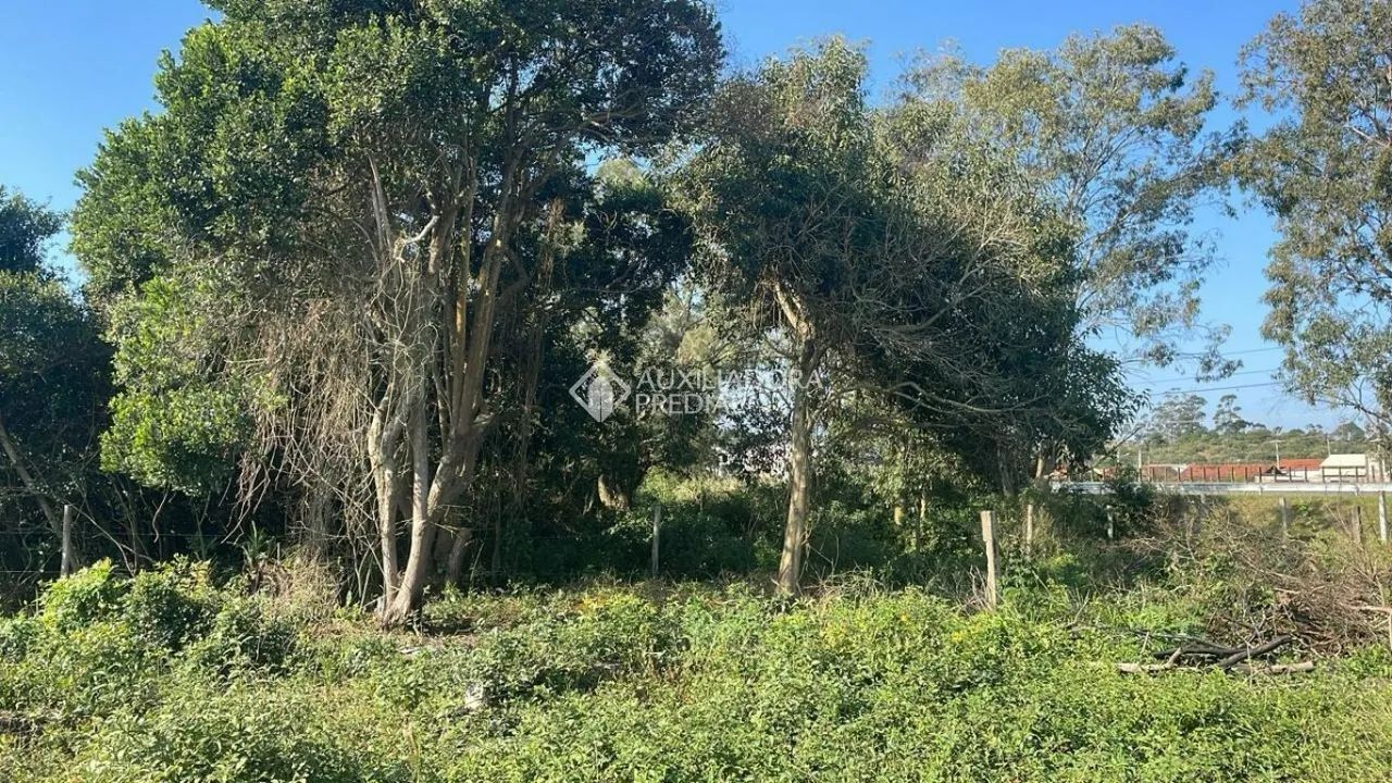 Oportunidade única de Investimento potencial para construtoras em Laguna - Foto 4