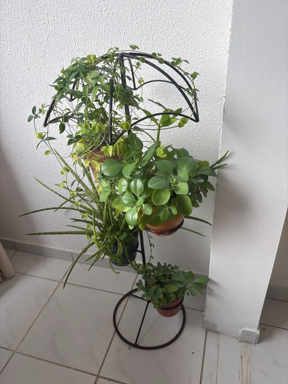 Vendo  - Foto 2
