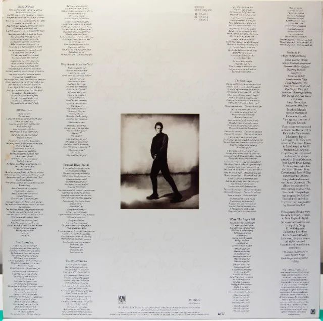 DISCO VINIL - STING - THE SOUL CAGES - Foto 2