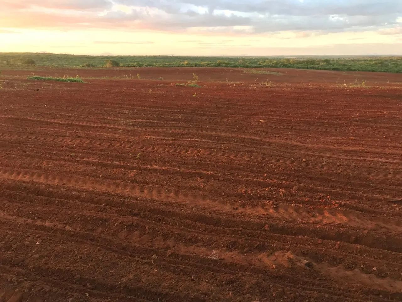 Fazenda com Escritura - Foto 3