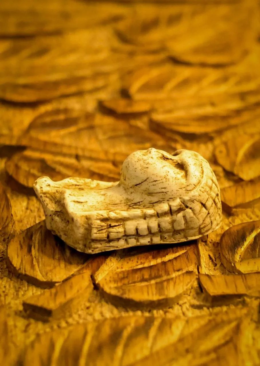 Vênus de Brassempouy - Foto 2