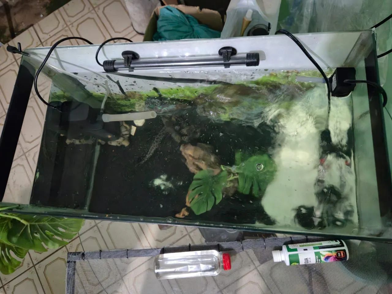 Aquário 60x30x40/ 72lts - Foto 2