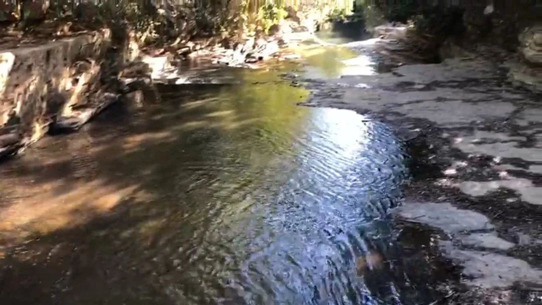 Terreno com vista maravilhosa  - Foto 3
