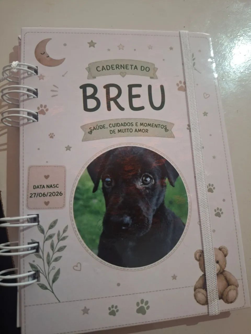 ADOÇÃO URGENTE - Foto 2