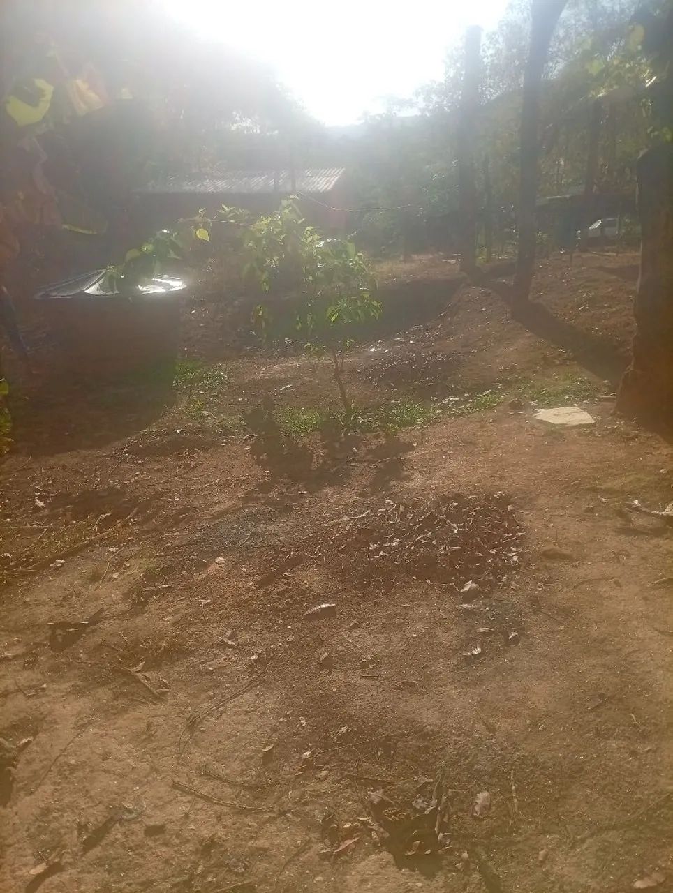 Vendo lote na invasão  - Foto 4
