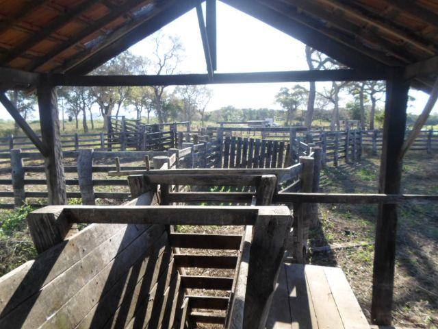 Fazenda na estrada parque de corumba ms - Foto 4