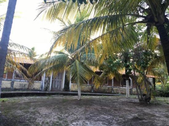 Lotes condomínio fechado, a 50 metros do mar, praia Sonho Verde - Foto 4