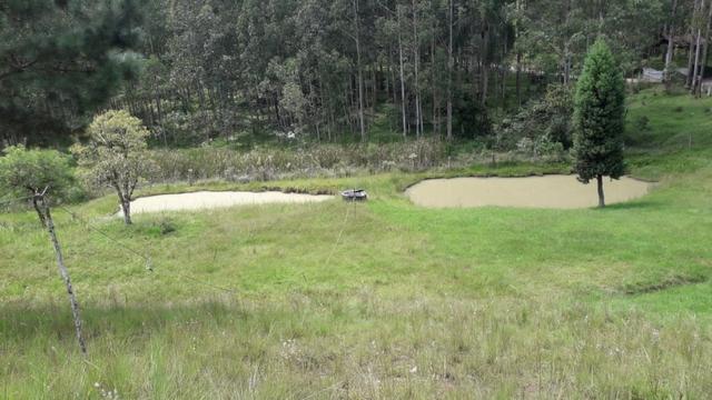 Perto de tudo - Foto 5