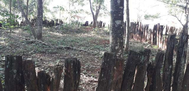 Chácara à venda de 1 alqueires e meio no município de Firminópolis - Foto 16