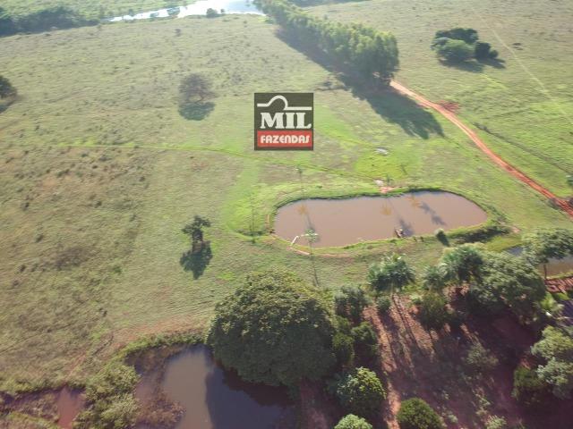 Fazenda dupla apitidão 200 Alqueires ( 968 hectares ) Itajá-GO - Foto 14