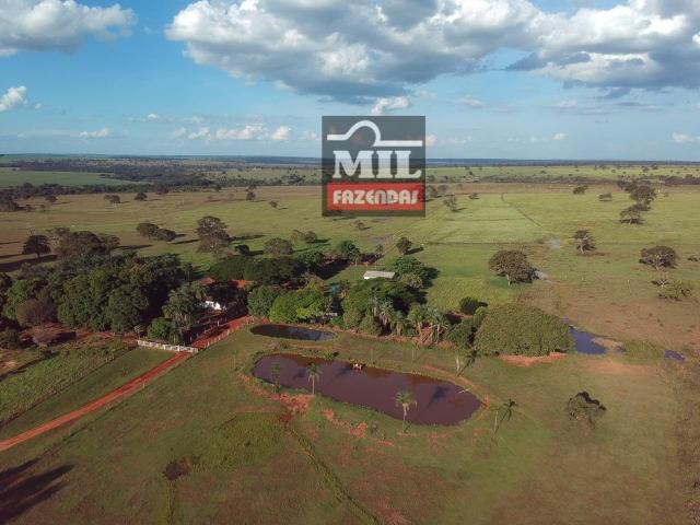 Fazenda dupla apitidão 200 Alqueires ( 968 hectares ) Itajá-GO - Foto 12
