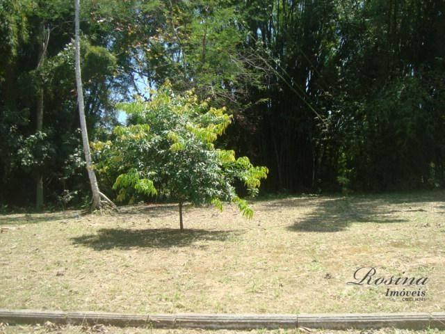 Òtimos terrenos para investimento em morretes - Foto 14