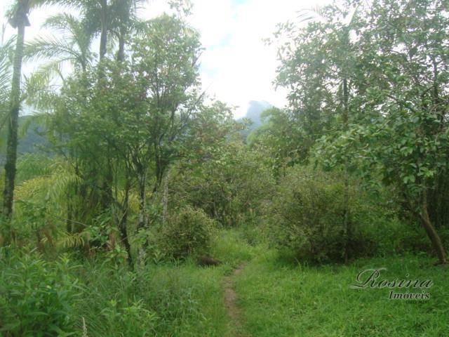Linda chácara medindo 12.100,00 m² localizada no rio sagrado em morretes - Foto 11