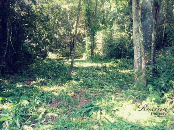 Terreno com 36.300 m² com registro de imóveis de frente para o asfalto - Foto 7
