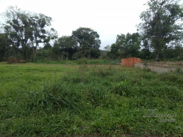 Òtimo terreno próximo ao centro - morretes/paraná - Foto 11