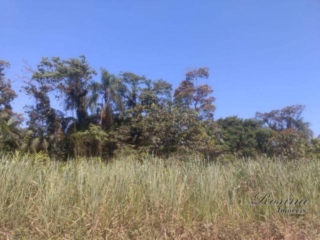 Terreno plano com 2,229 hectares próximo ao centro - Foto 6