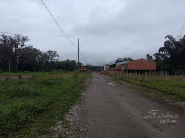 Òtimo terreno próximo ao centro - morretes/paraná - Foto 15