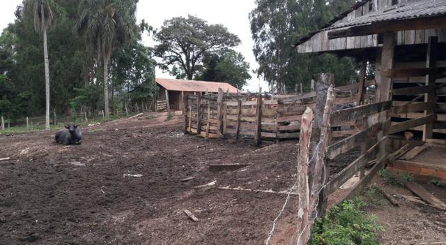 Fazenda 85 alqueres - Foto 11