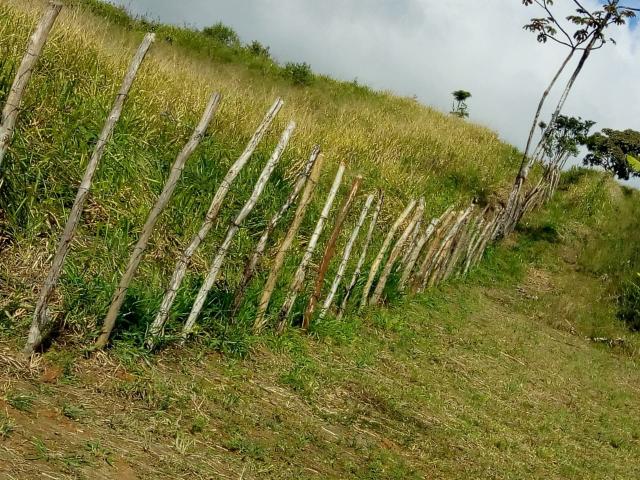 Sítio em Saire PÉ com 05 hectares - Foto 10