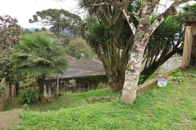 Terreno para Venda, 553,86 m², São Bento do Sul / SC, bairro Serra Alta - Foto 3